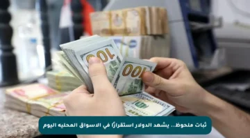 ثبات ملحوظ.. يشهد الدولار استقرارًا في الأسواق المحلية اليوم